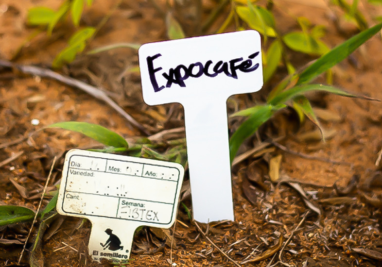 Reserva-fondos-03sdg