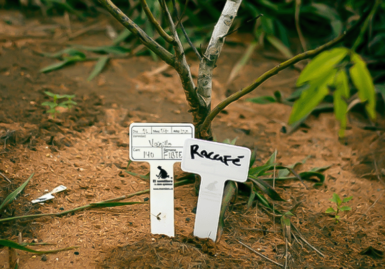 Reserva-fondos-03ukyui